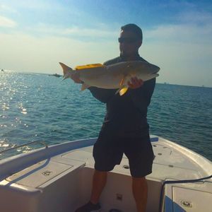 Meet your Posher, Matt